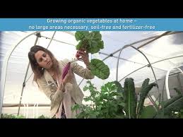 Growing Organic Vegetables At Home