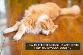 remove scratches and dents in hardwood