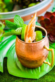 citrus moscow mule home made interest