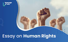 Image result for essay on why i want to be a human rights lawyer