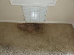 4 major causes of carpet odor what can