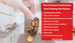 how to prevent roaches from