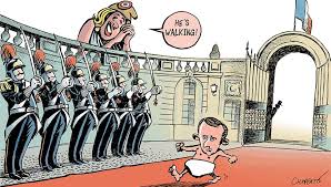 Image result for macron cartoons