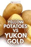 Is Yukon Gold the same as yellow potatoes?