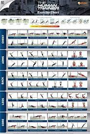 The Human Trainer Poster Suspension Gym Workout Poster