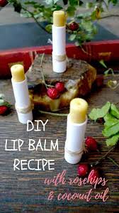 homemade lip balm with rosehips and 12