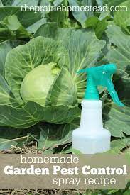 organic pest control spray for gardens