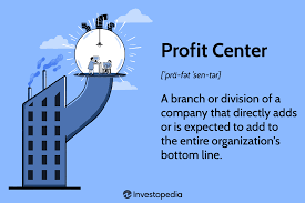 profit center characteristics vs a