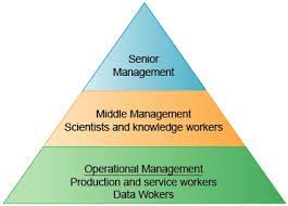 Mkis is used by all three levels of management, i.e. Chapter 1