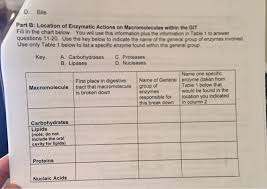 Solved D Bile Part B Location Of Enzymatic Actions On M