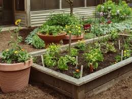 For starters, look at the area you want to plant: Raised Bed Garden Design How To Layout Build Garden Design