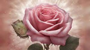 spiritual meaning of rose red rose