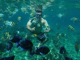 Mas para quem quer praticar mergulho, também é interessante visitar a. Da Serie As Belezas Do Brasil Ilha Das Couves Picture Of Ilha Das Couves Picinguaba Tripadvisor