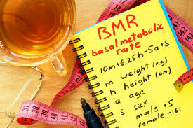 what is basal metabolic rate how is