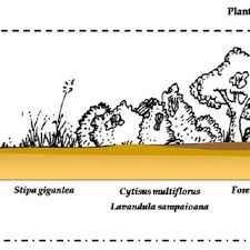 soil erosion under diffe land use