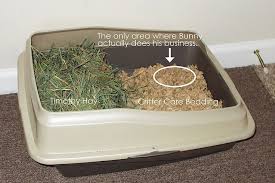 can i use cat litter for my rabbit big