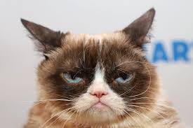 Vitus verdegast, a courtly but tragic man who is returning to the remains of the town he defended before becoming a prisoner of war for fifteen years. Internet S Famous Grumpy Cat Dies At Age 7 Live Science