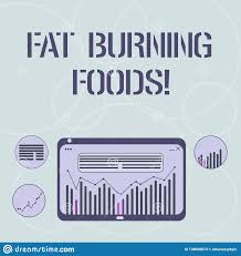 Word Writing Text Fat Burning Foods Business Concept For