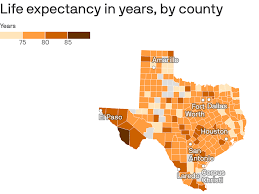 life expectancy in austin among highest