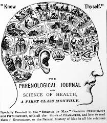L0000992 Phrenology Chart Knowing Neurons