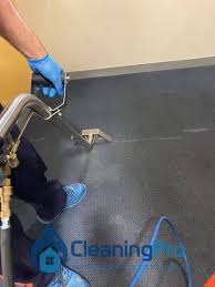 carpet cleaning auckland carpet spot
