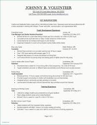 Resume Examples Youth Counselor New Resume Examples Qualities New