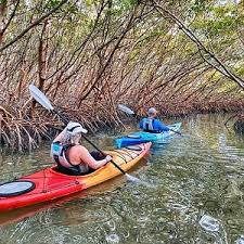 Explore mangrove islands, watch for dolphins and manatees, or catch a sunset.we strive to provide outstanding experiences by providing the best equipment and local guides. Tripadvisor Clear Kayak Tour Of Shell Key Preserve And Tampa Bay Area Provided By Get Up And Go Kayaking Tampa Bay Tierra Verde Florida