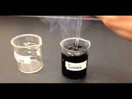 Demo Sucrose And Sulfuric Acid
