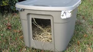 Diy Winter House For Stray Cats