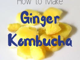 ginger kombucha recipe