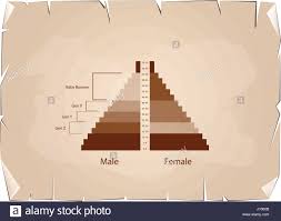 Population And Demography Population Pyramids Chart Or Age