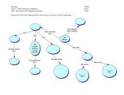 Protein Synthesis Flow Chart Key Beautiful Protein