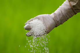 harmful effects of chemical fertilizers