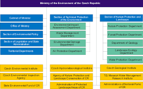 Organizational Structure Of The Ministry Of The Environment
