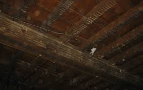 down lath and plaster ceilings