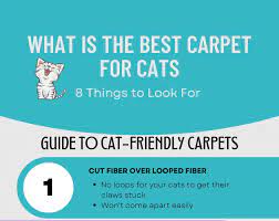 what is the best carpet for cats 8