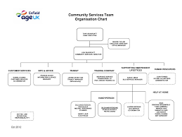 Ppt Community Services Team Organisation Chart Powerpoint