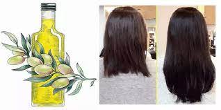 olive oil hair benefits recipes for