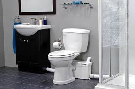 Pros And Cons Of Upflush Toilet 2023