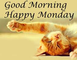 Happy monday best funny inspirational quotes wishes good. Funny Lazy Cat Good Morning Happy Monday Image Pix Trends