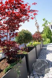 Modern Landscape And Patio Design With