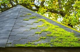 moss on your roof is it bad to have