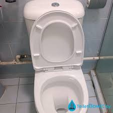 Toilet Bowl Installation In Singapore