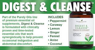 digest cleanse essential oil sage
