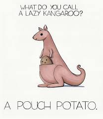 Check spelling or type a new query. Laughoutloud Fun Jokeoftheday What Do You Call A Lazy Kangaroo A Pouch Potato Punny Jokes Cute Jokes Funny Jokes For Kids