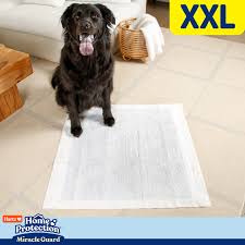 extra absorbent l dog pads 20 count