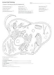 31 plant cell coloring pages 3 free for page bertmilne. 30 Animal Cell Plant Cell Worksheet
