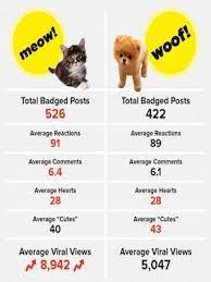 cats versus dogs internet pority