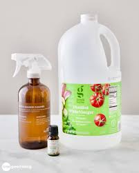 natural cleaner gets rid of mold and mildew