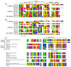 Comparative Venom Gland Transcriptomics Of Naja Kaouthia
